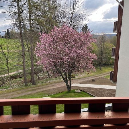 Koenigs Appartement Mit Pool Schluchsee Kültér fotó