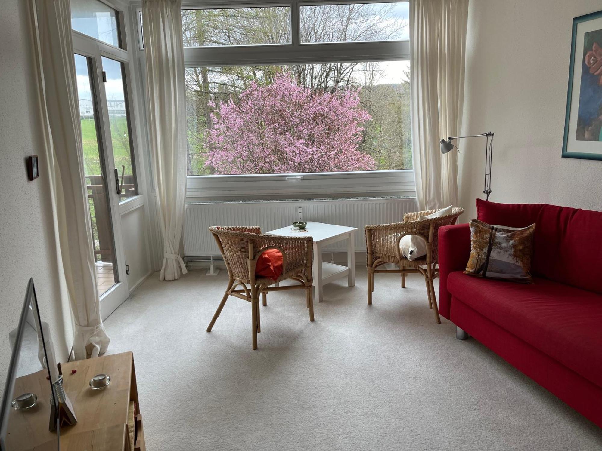 Koenigs Appartement Mit Pool Schluchsee Kültér fotó