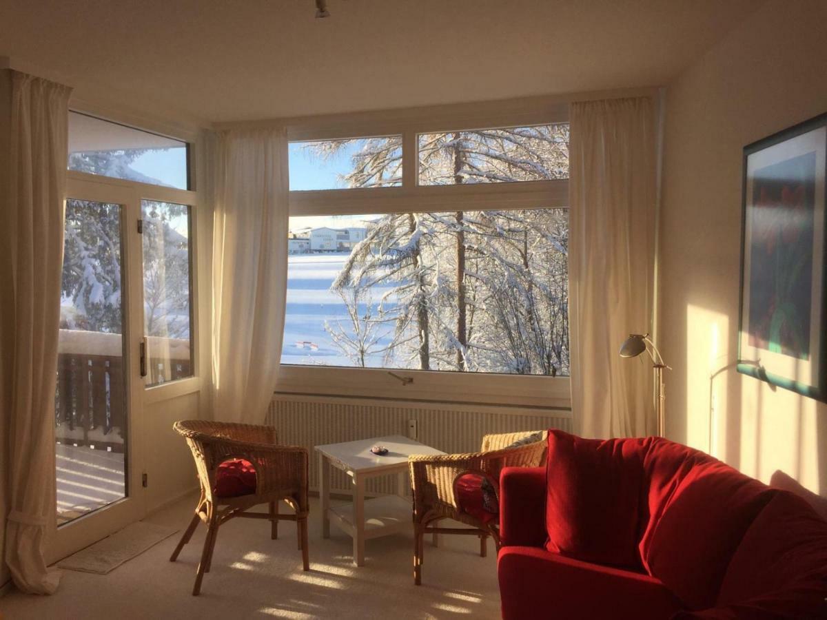 Koenigs Appartement Mit Pool Schluchsee Kültér fotó