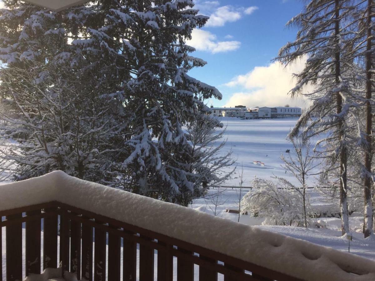 Koenigs Appartement Mit Pool Schluchsee Kültér fotó